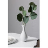 Olympia Whiteware Bud Vases - 125mm (12 Pack) Olympia Whiteware Bud Vases - 125mm (12 Pack)