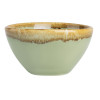 Olympia Kiln Dipping Pot Moss 70mm (12 Pack) Olympia Kiln Dipping Pot Moss 70mm (12 Pack)
