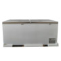 SOLID DOOR CHEST FREEZER 850 BD-850
